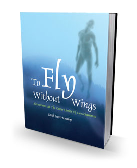 cover of To Fly Without Wings